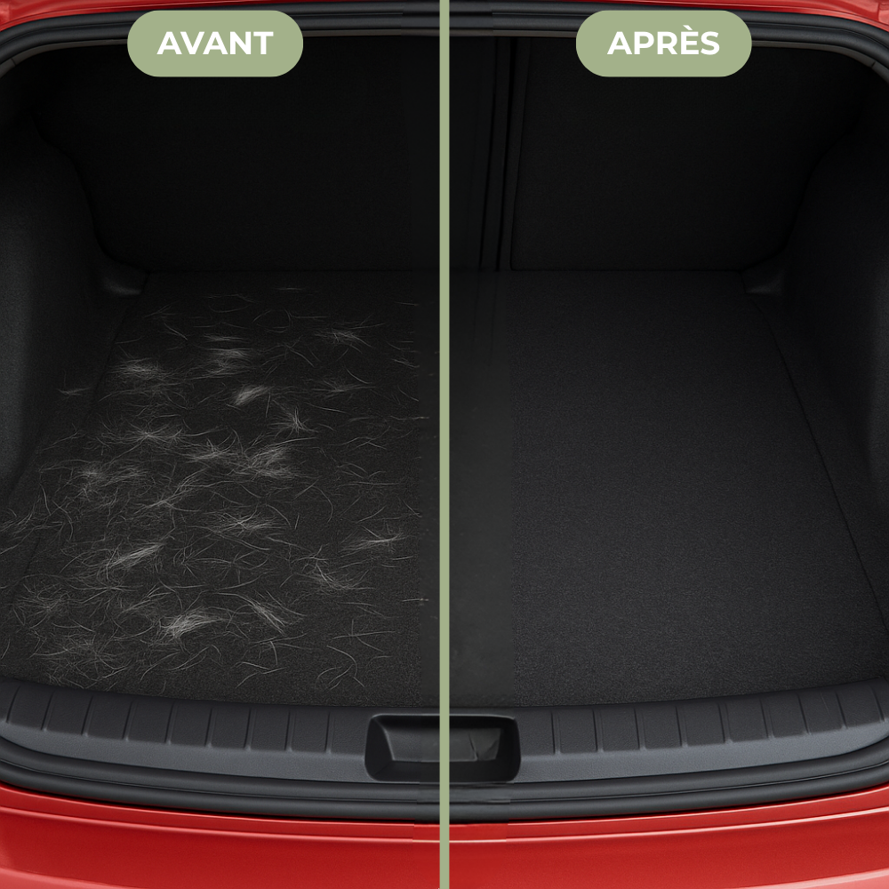 Gant Anti-Poils Réutilisable