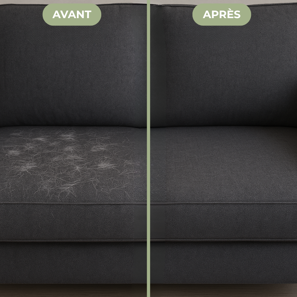 Gant Anti-Poils Réutilisable