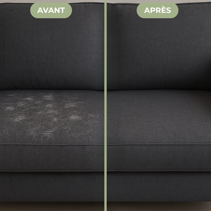 Gant Anti-Poils Réutilisable